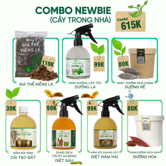 COMBO NEWBIE 2 TỐI ƯU CHO CÂY TRONG NHÀ