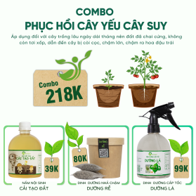 COMBO PHỤC HỒI CÂY YẾU CÂY SUY