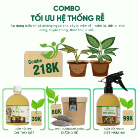 COMBO TỐI ƯU HỆ THỐNG RỄ