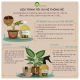 COMBO TỐI ƯU HỆ THỐNG RỄ