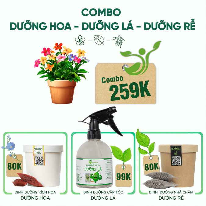 COMBO DƯỠNG HOA - DƯỠNG LÁ - DƯỠNG RỄ