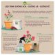 COMBO DƯỠNG HOA - DƯỠNG LÁ - DƯỠNG RỄ