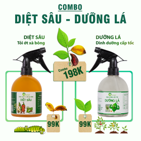 COMBO DIỆT SÂU - DƯỠNG LÁ
