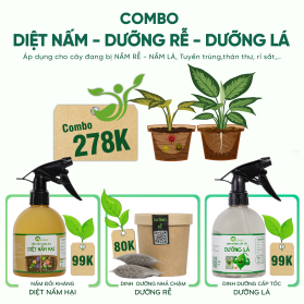 COMBO DIỆT NẤM - DƯỠNG RỄ - DƯỠNG LÁ