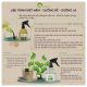 COMBO DIỆT NẤM - DƯỠNG RỄ - DƯỠNG LÁ