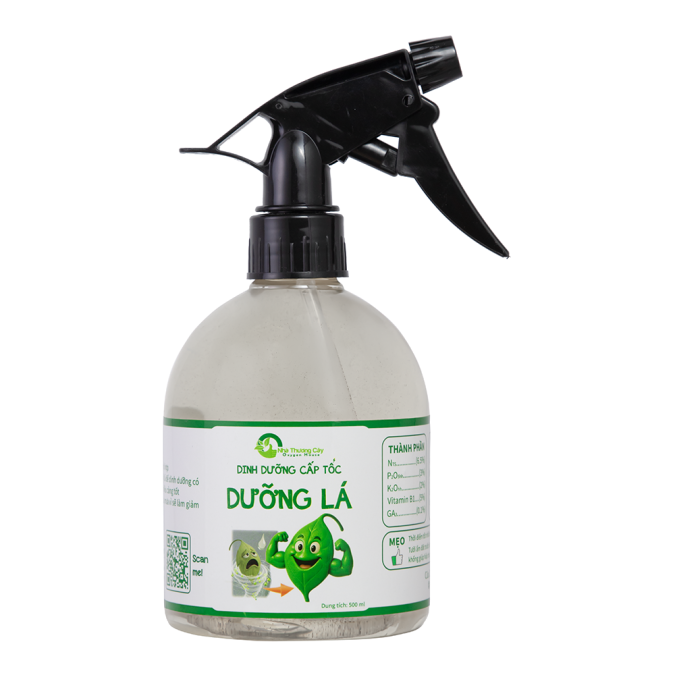 DINH DƯỠNG CẤP TỐC - DƯỠNG LÁ