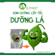 DINH DƯỠNG CẤP TỐC - DƯỠNG LÁ