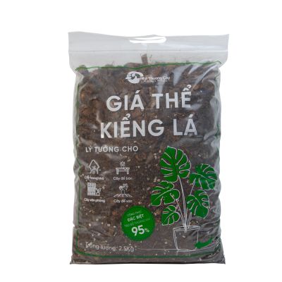 GIÁ THỂ KIỂNG LÁ CÂY TRONG NHÀ