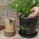 ĐÁ BỌT PUMICE - ĐÁ LÔNG VŨ - ĐÁ ĐỂ TRỘN ĐẤT