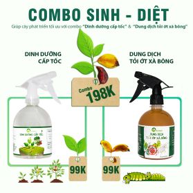 COMBO SINH - DIỆT 