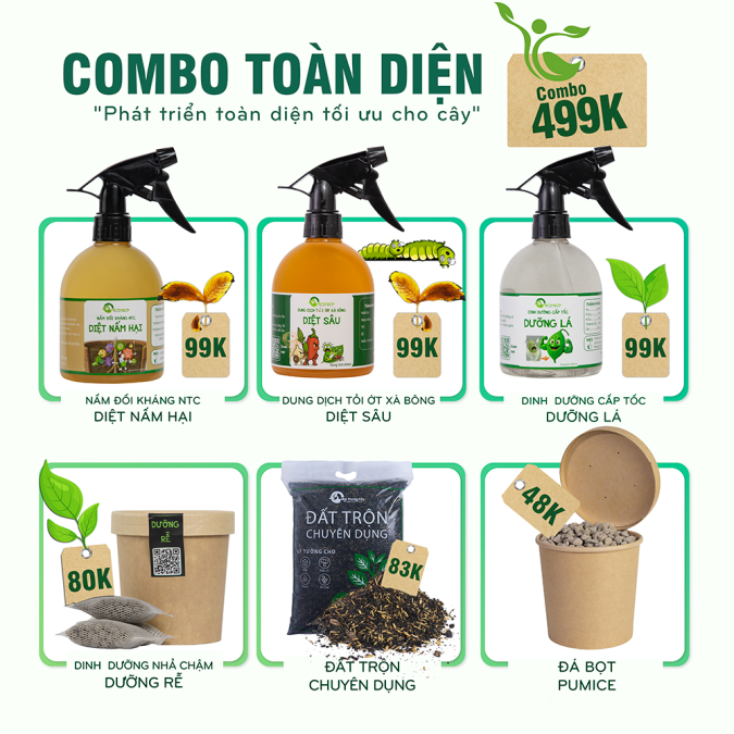 COMBO PHÁT TRIỂN TOÀN DIỆN CHO CÂY