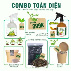 COMBO PHÁT TRIỂN TOÀN DIỆN CHO CÂY