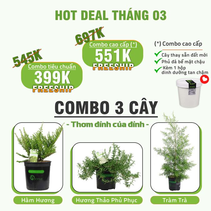 HOT DEAL THÁNG 3 