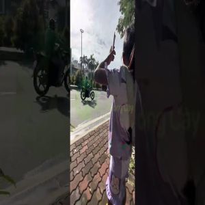 CỨU CÂY MAI THƯỢNG UYỂN BỊ BỌ TRĨ