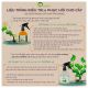 COMBO DIỆT SÂU - DƯỠNG LÁ