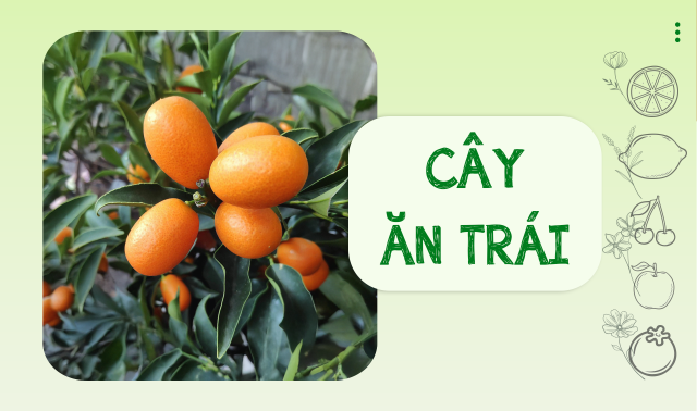 Cây ăn trái