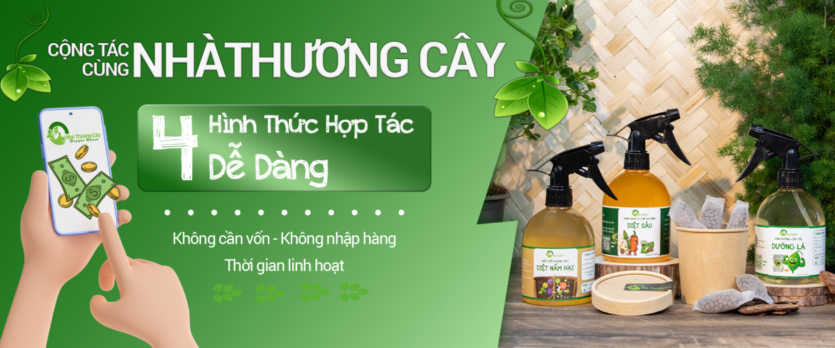 Cộng tác cùng Nhà Thương Cây