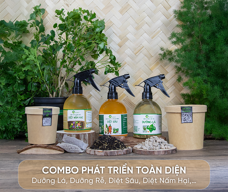COMBO TOÀN DIỆN