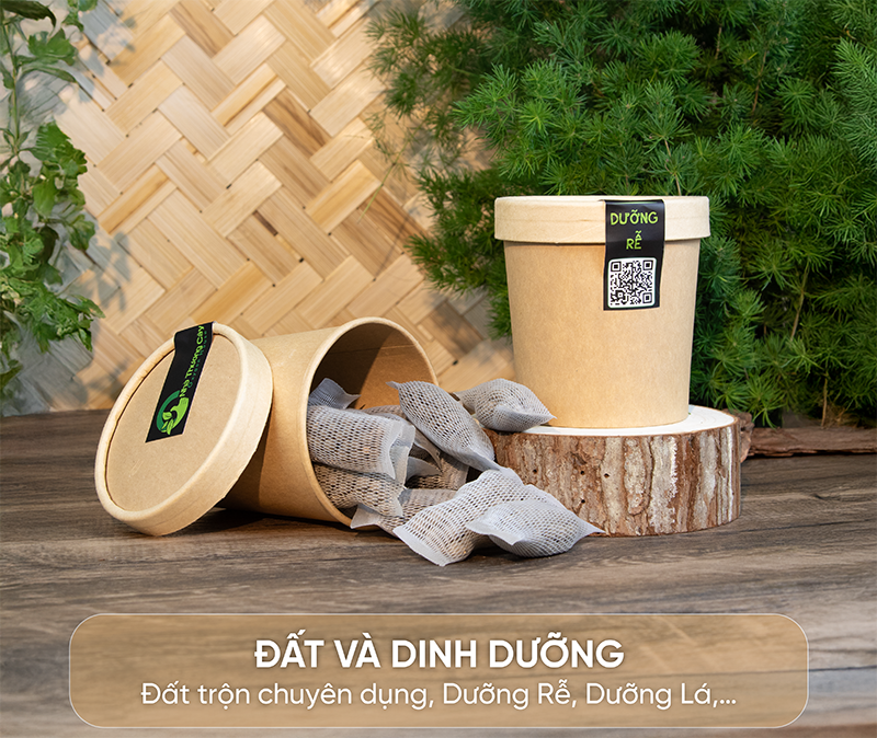 ĐẤT VÀ DINH DƯỠNG