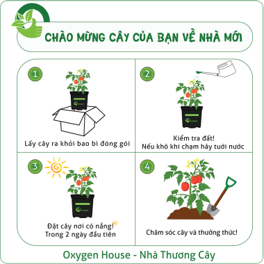 CÂU HỎI THƯỜNG GẶP