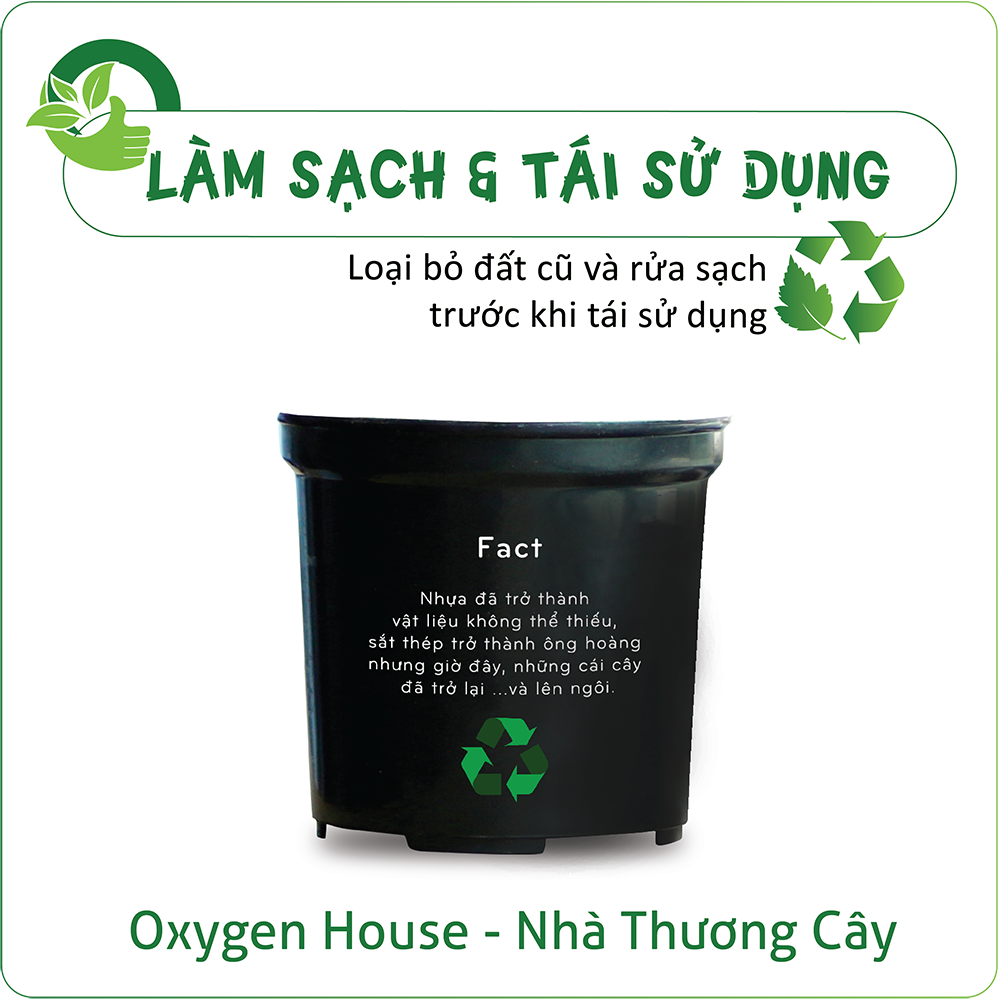 HÀNH TRÌNH CỦA NHÀ THƯƠNG CÂY