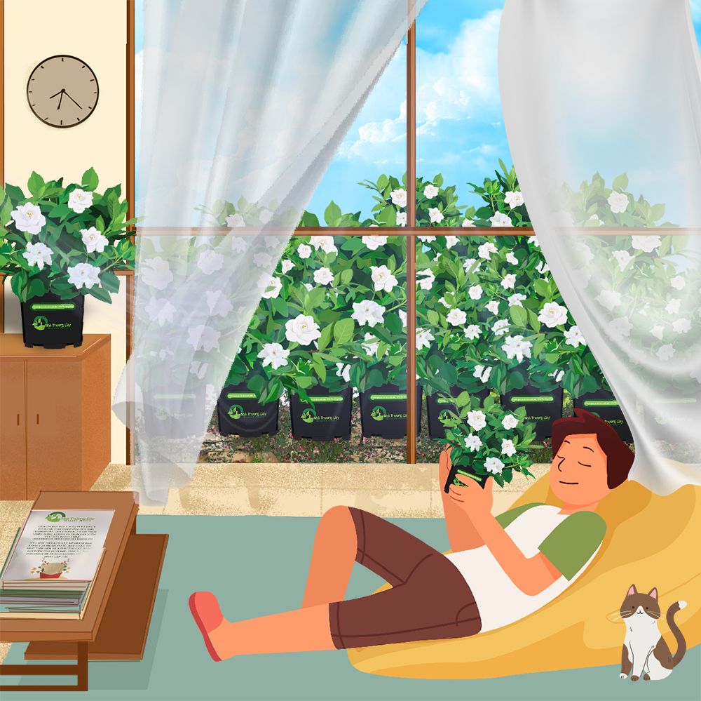 CẢM HỨNG TRỒNG CÂY