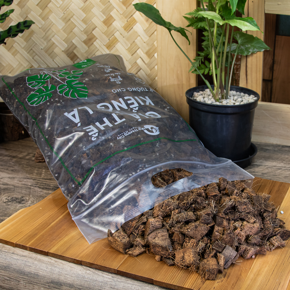 giá thể kiểng là cho cây trong nhà