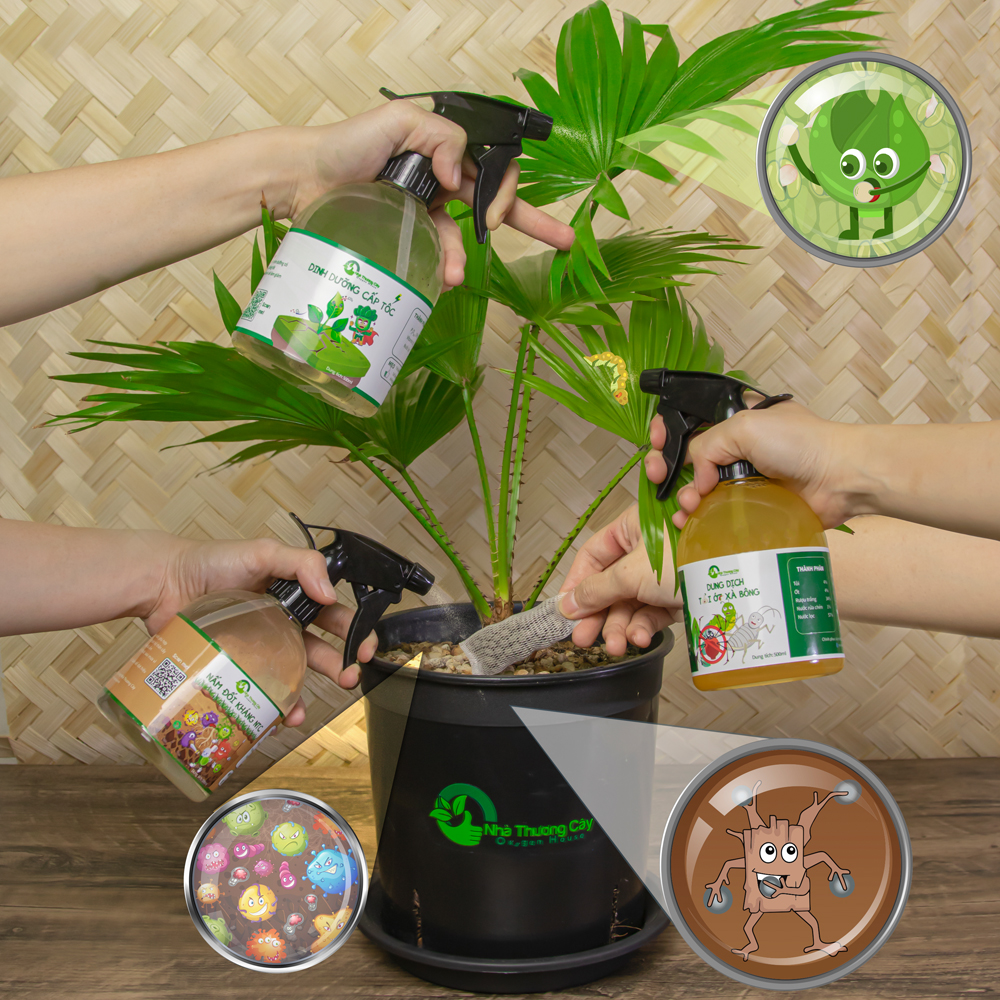 combo diệt sâu dưỡng rễ dưỡng lá