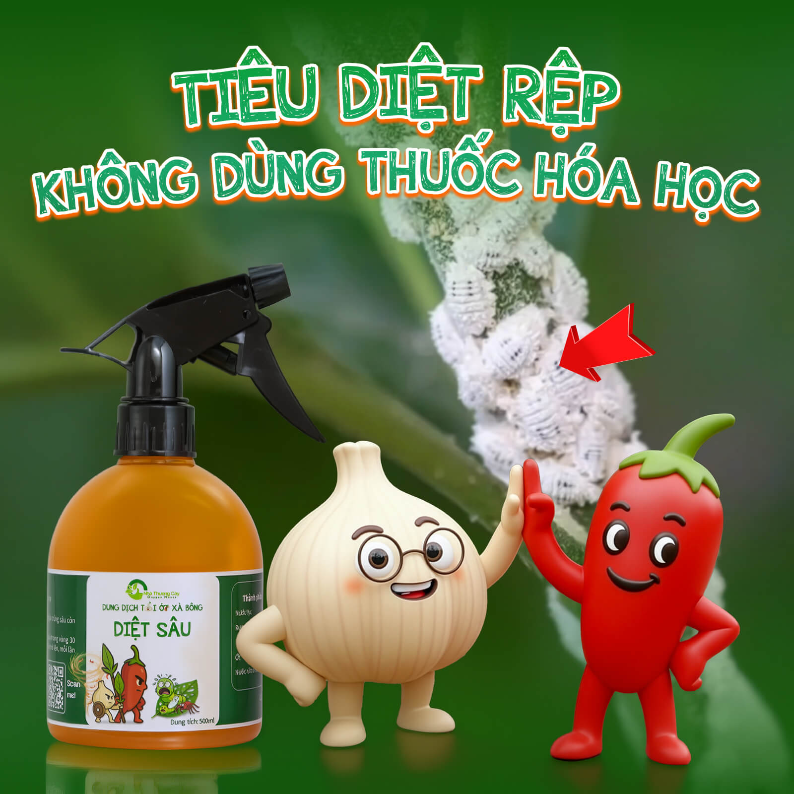 Cách xử lý - phòng ngừa rệp sáp mà không sử dụng thuốc trừ sâu hóa học