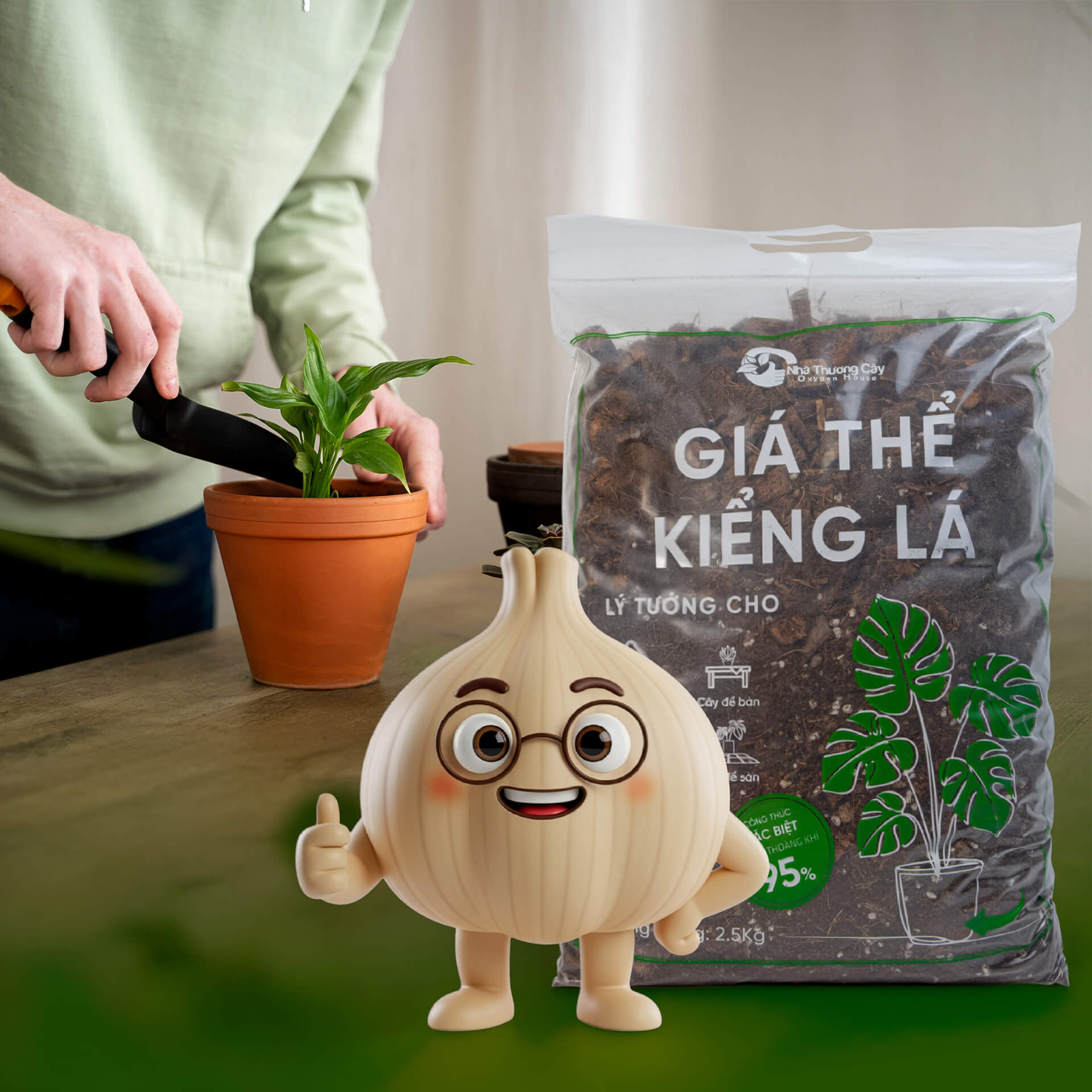 chọn đất để thay chậu cho cây