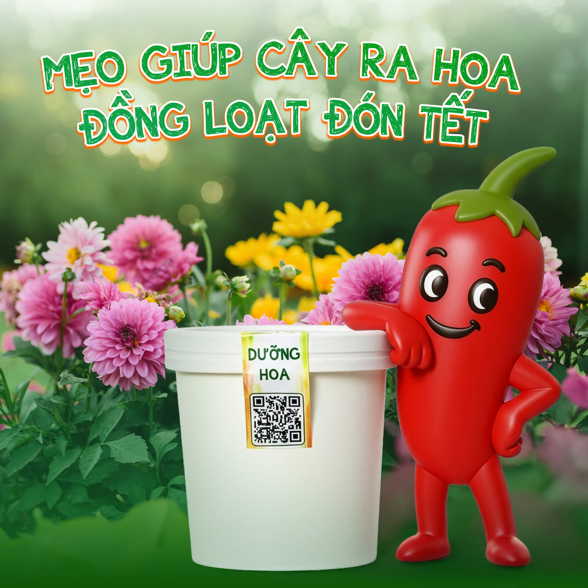 Mẹo giúp cây ra hoa đồng loạt hiệu quả đón tết