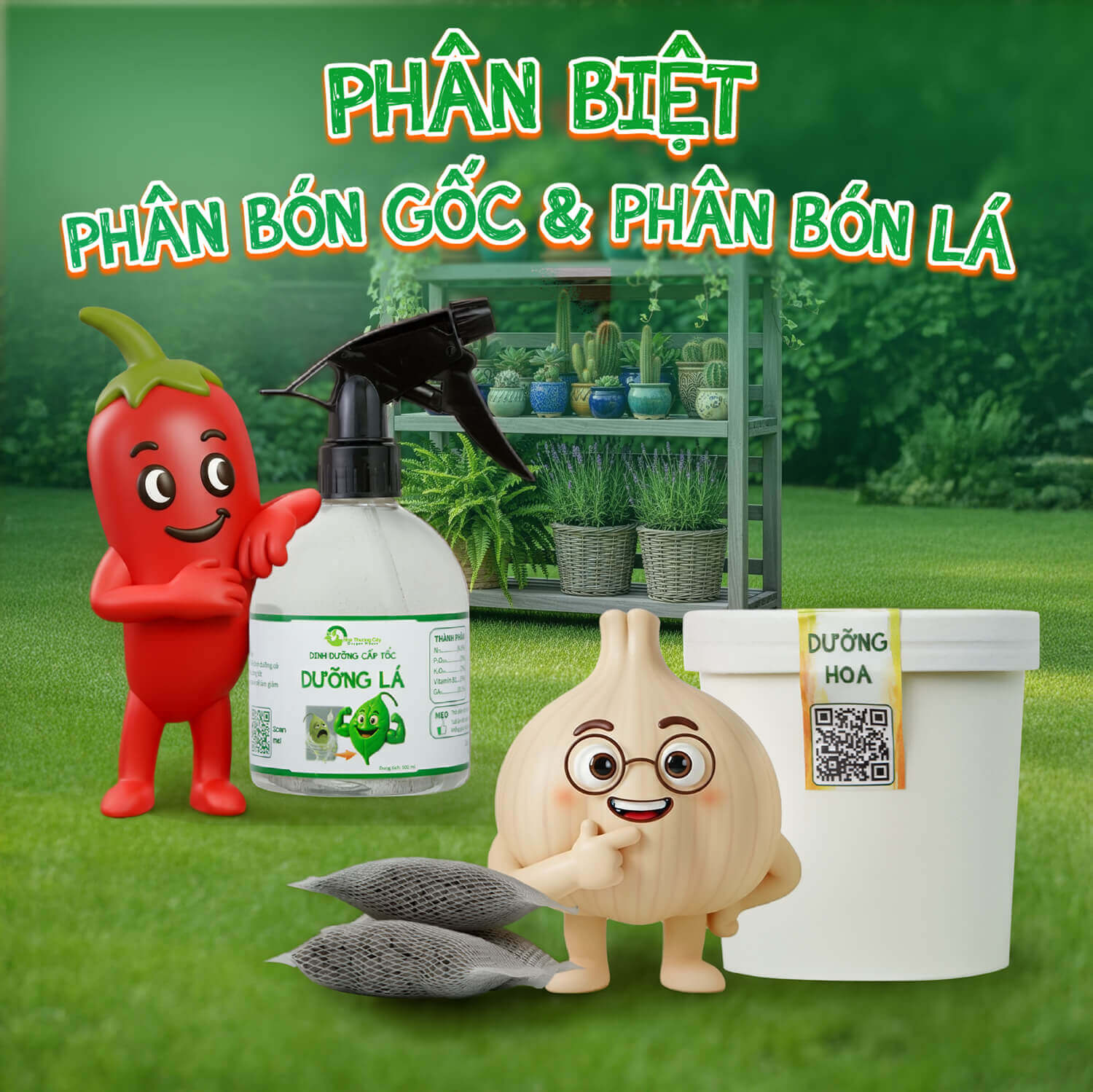 Phân biệt phân bón lá và phân bón gốc Cây cần loại phân bón nào