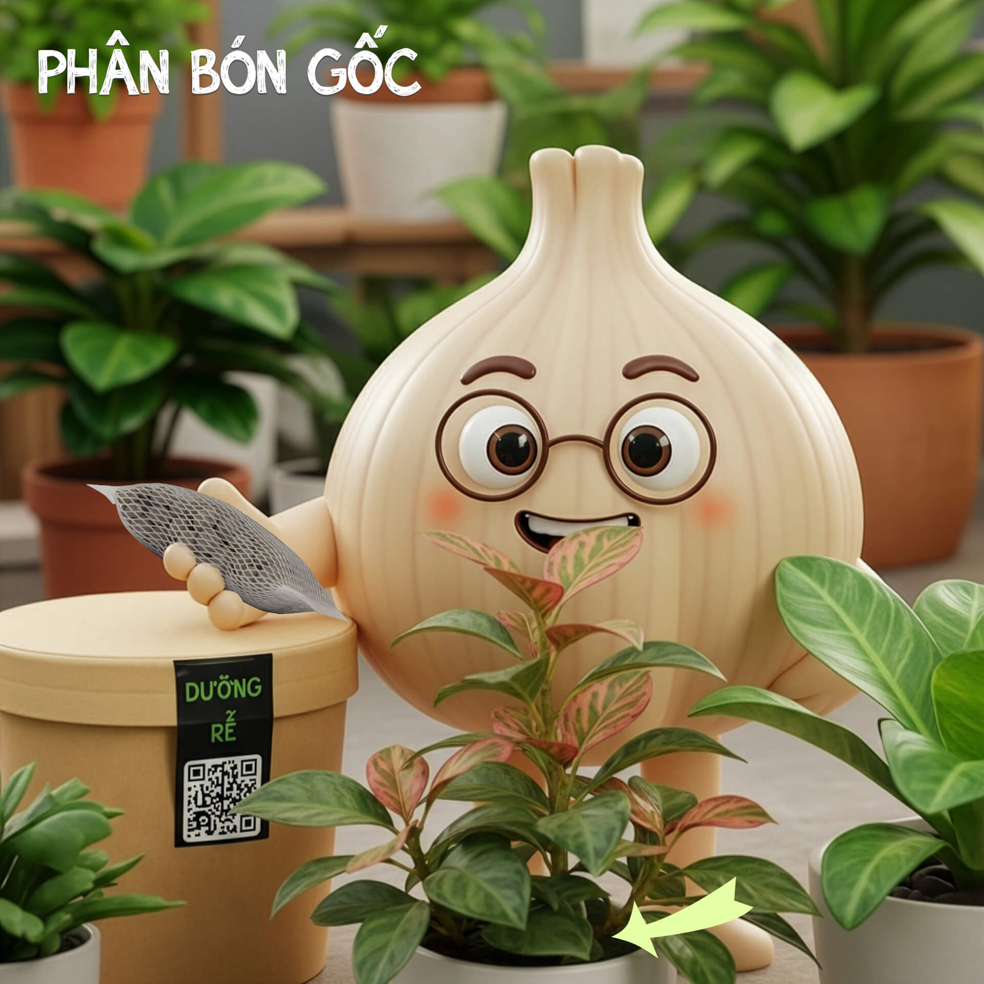 phân bón gốc dinh dưỡng nhả chậm dưỡng rễ