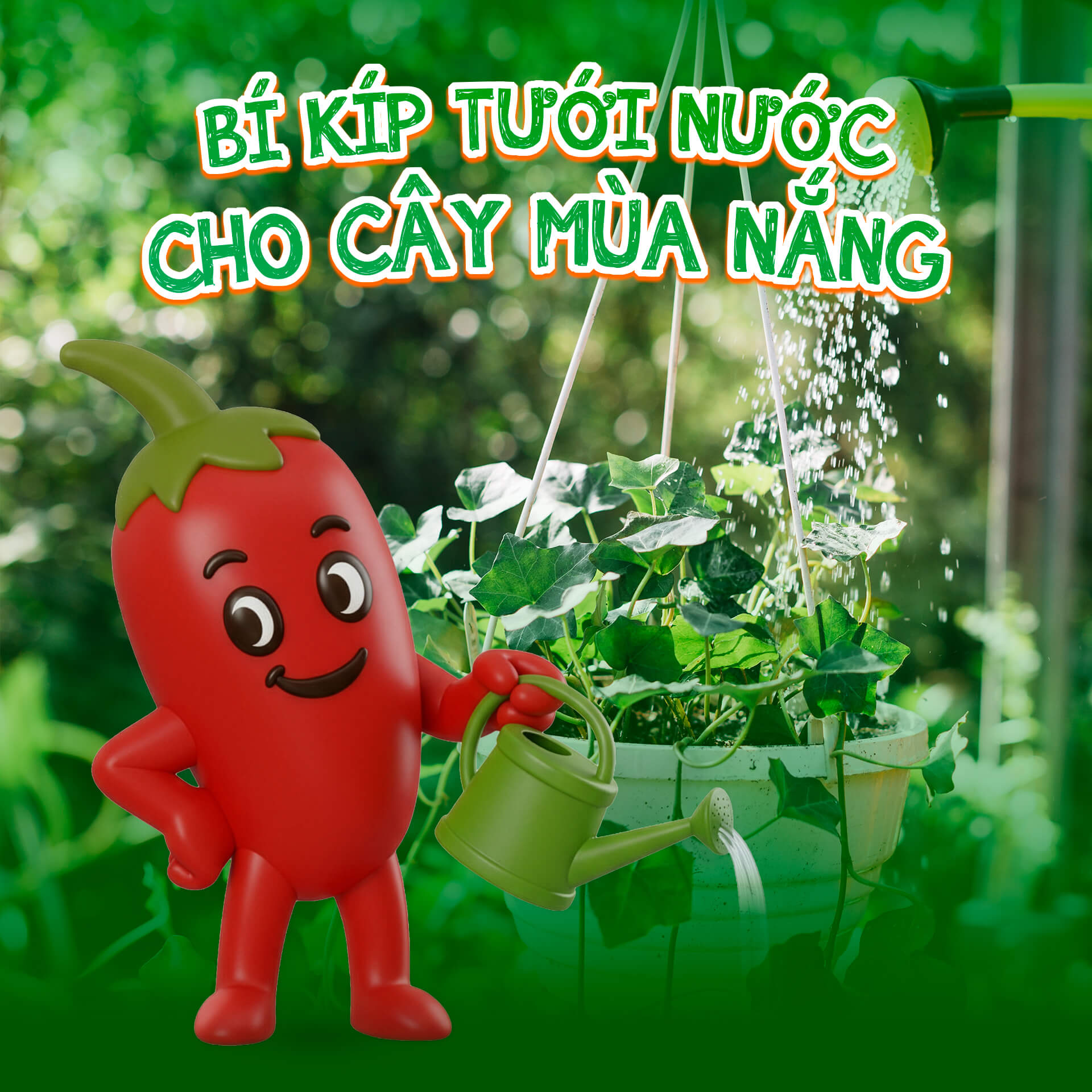 bí kíp tưới cây mùa nắng nóng