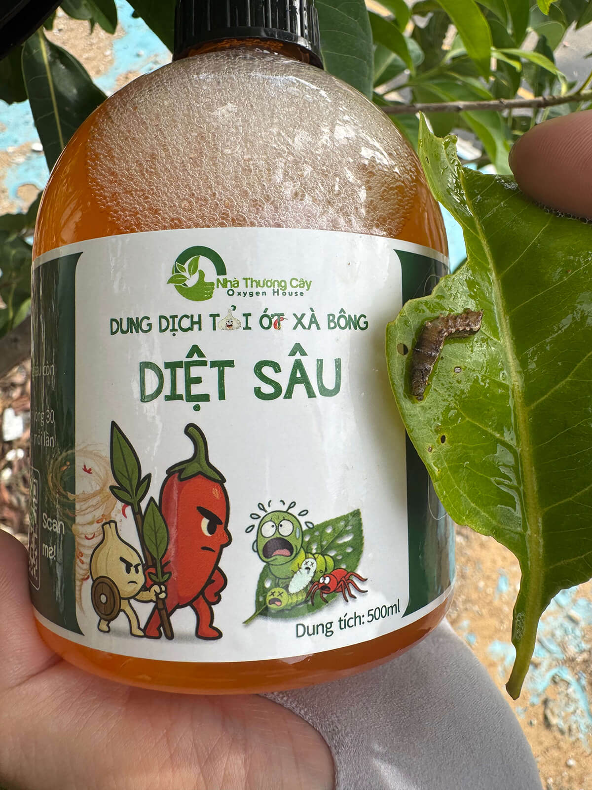 diệt sâu hại an toàn bằng dung dịch tỏi ớt xà bông