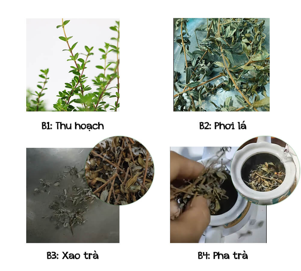 các bước pha trà hàm hương