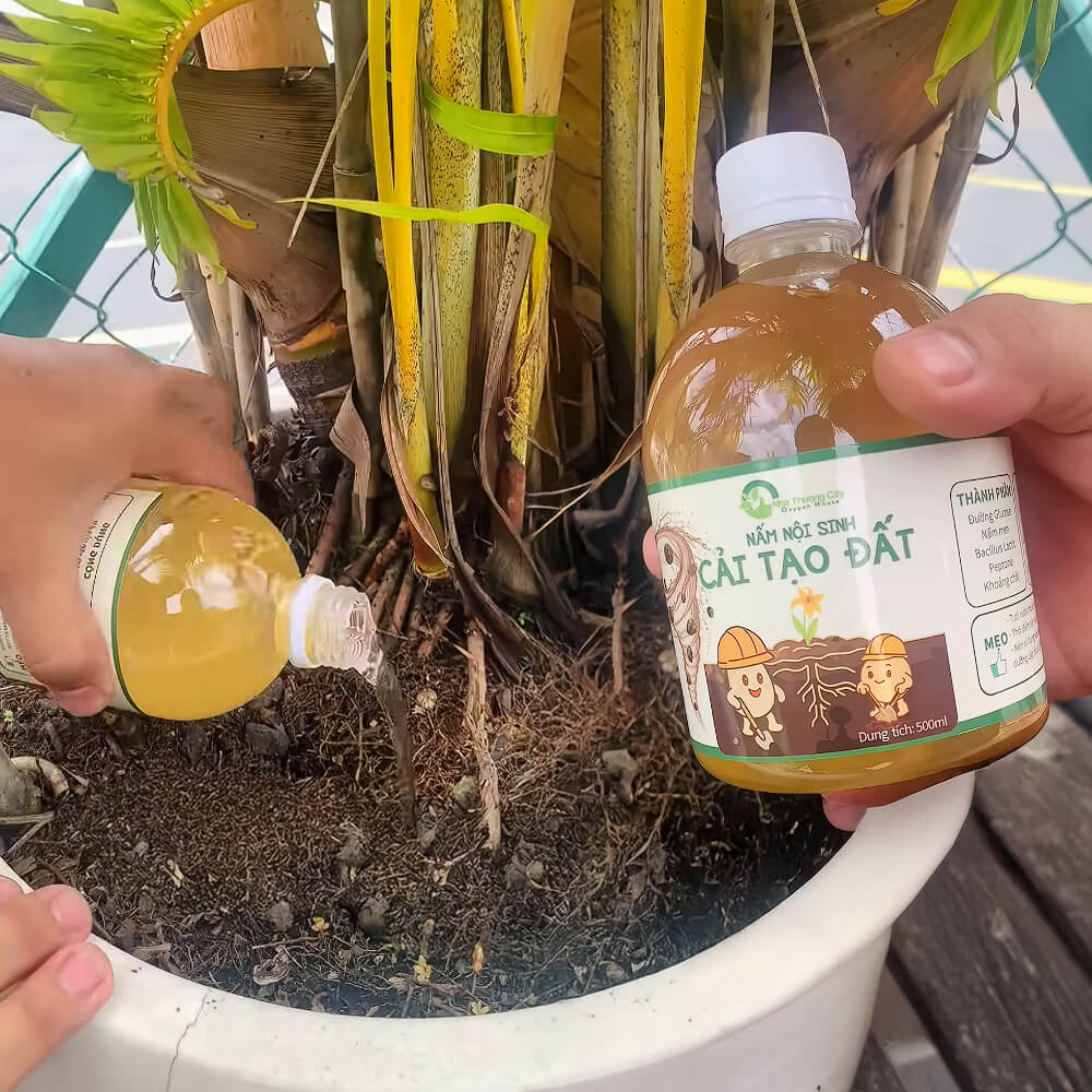 tưới cải tạo đất để đất tơi xốp hơn
