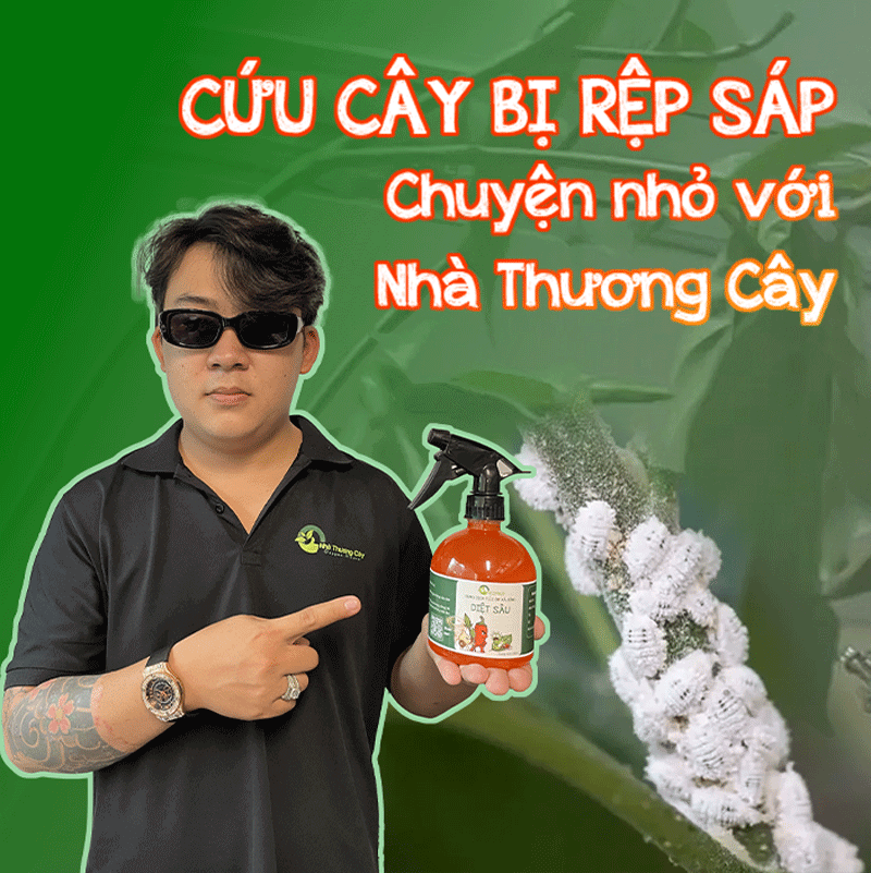 diệt rệp cứu cây