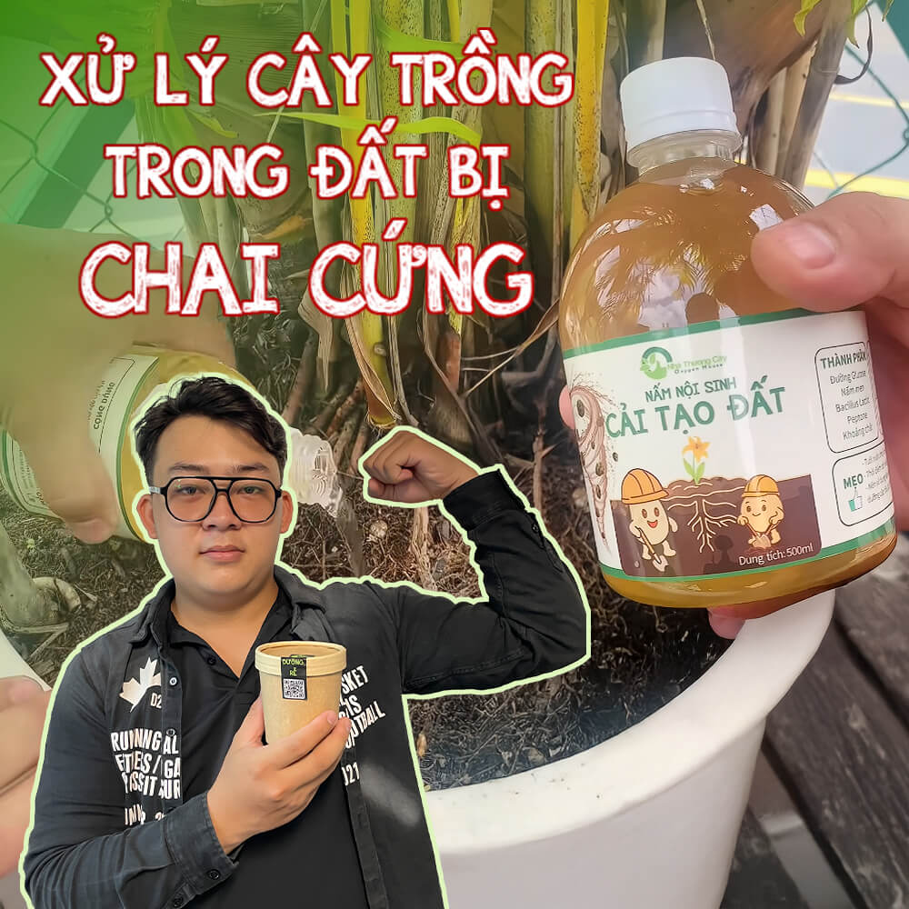 cải tạo đất bị chai cứng trong 30 giây