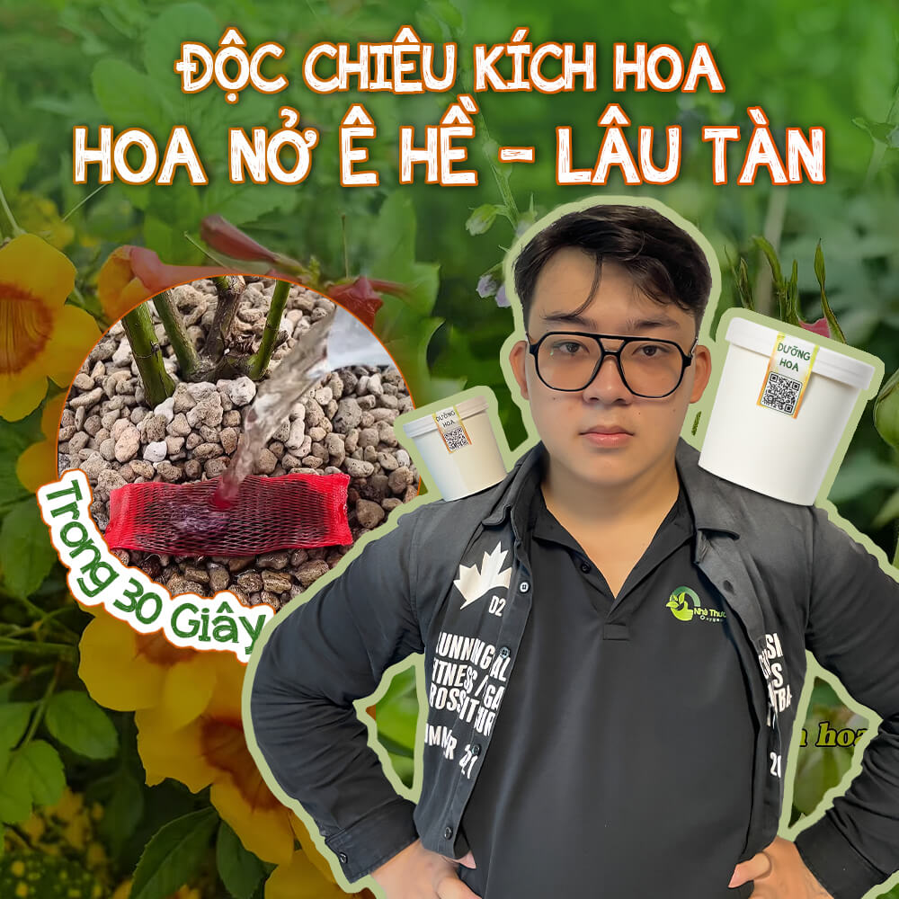 độc chiêu kích hoa  nở ê hề lau tàn