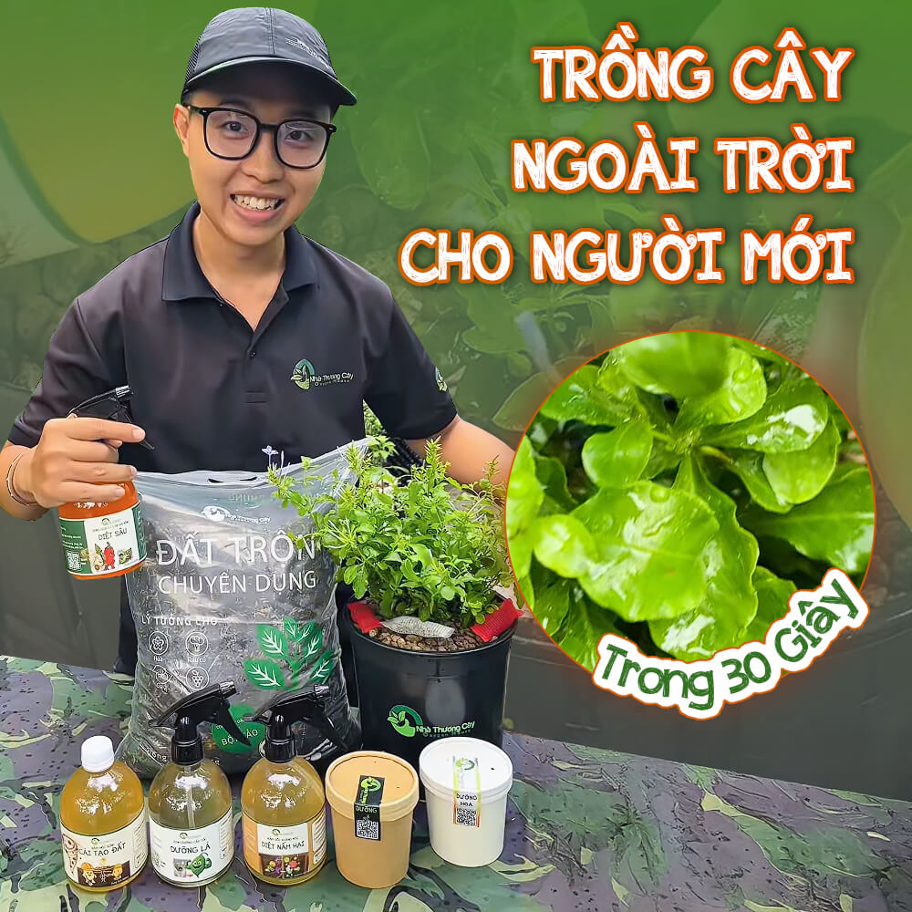 combo trọn bộ trồng cây ngoài trời cho người mới