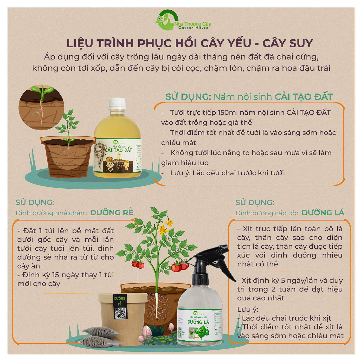 Liệu trình cải tạo đất, dưỡng rễ, dưỡng lá chăm sóc cây tối ưu