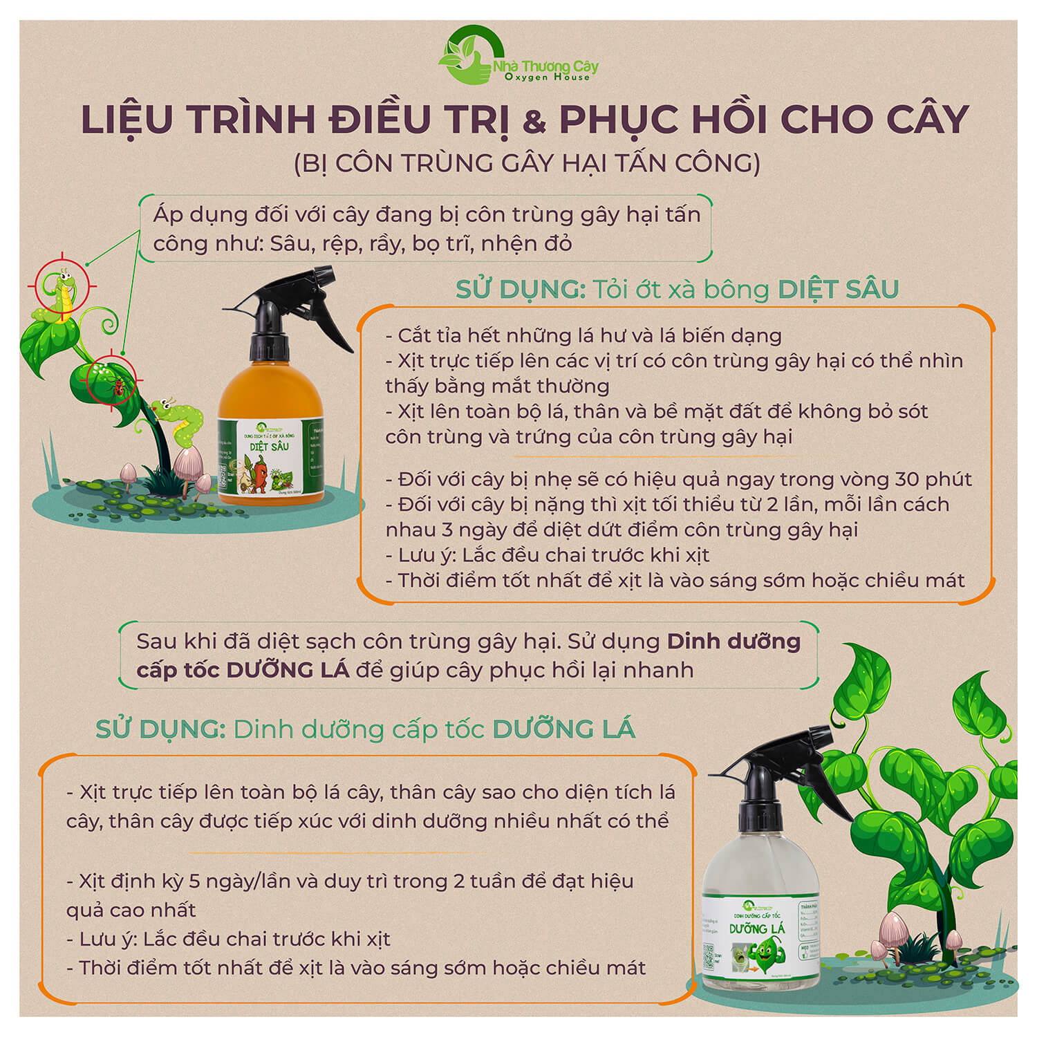 LIỆU TRÌNH DIỆT SÂU - DƯỠNG LÁ - Các bước điều trị, phòng ngừa và chăm sóc cây đơn giản