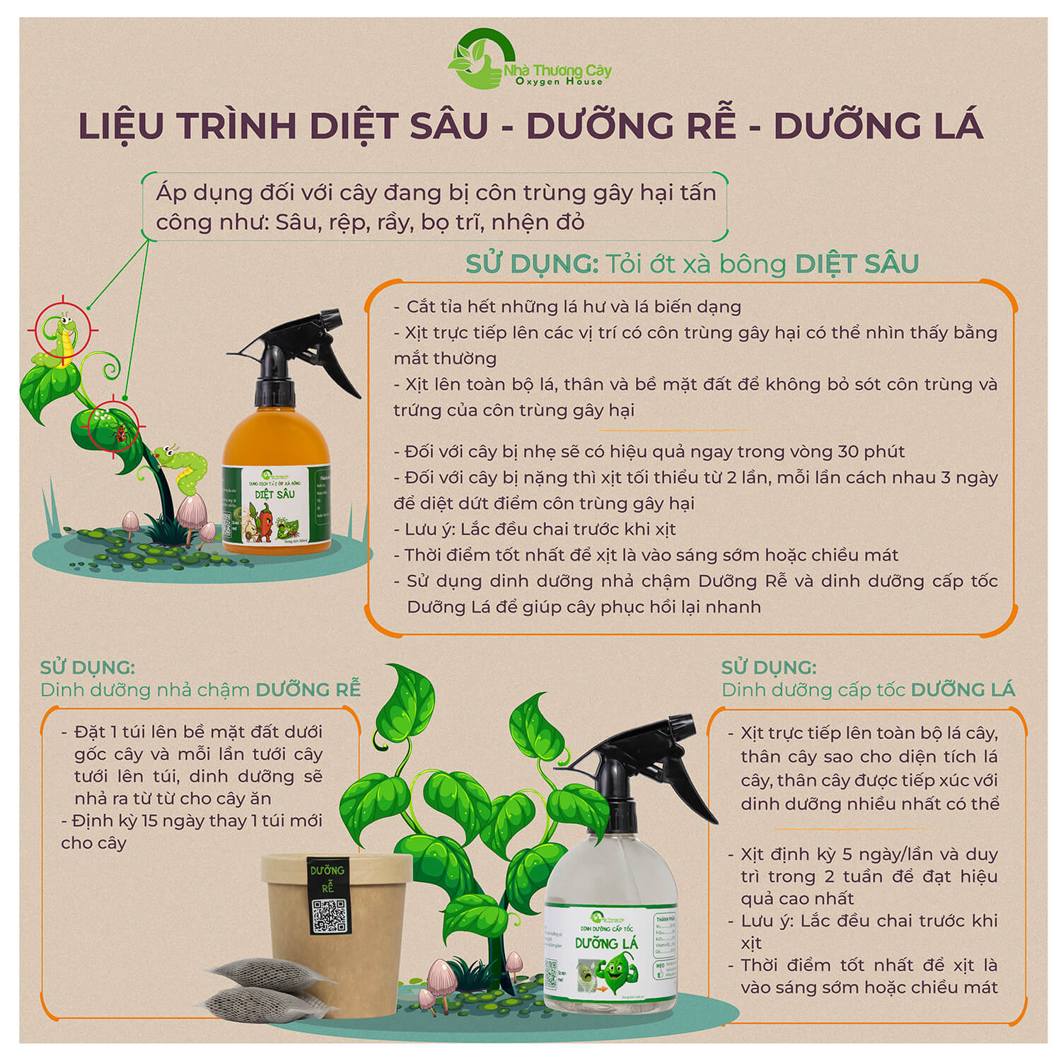 liệu trình diệt bọ trĩ và phục hồi cây cảnh