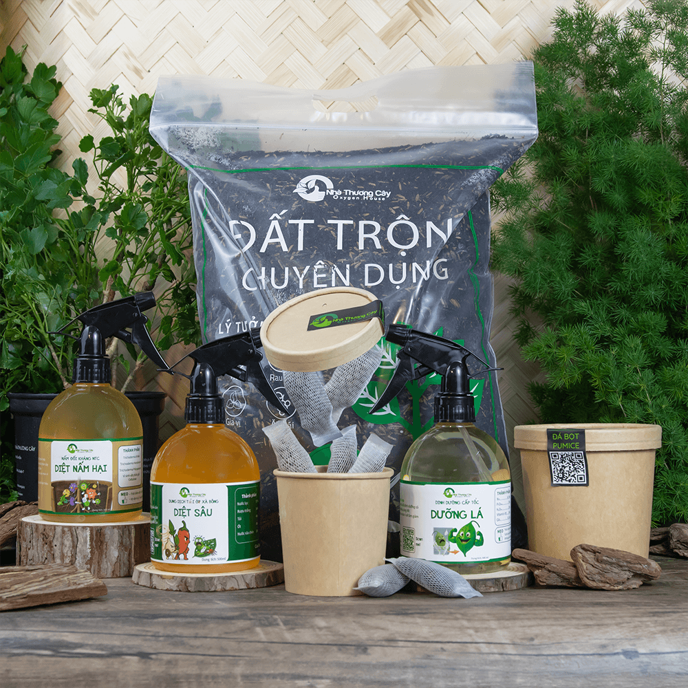 combo chăm sóc cây cảnh toàn diện