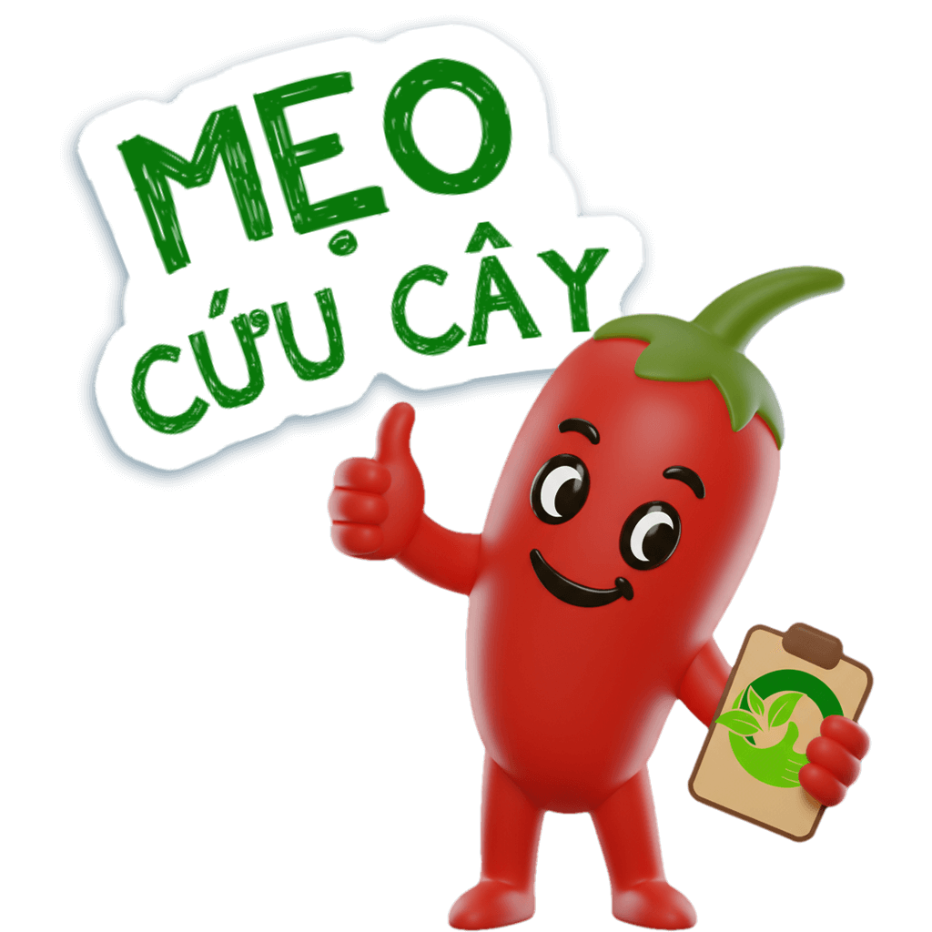 Cứu cây ngay