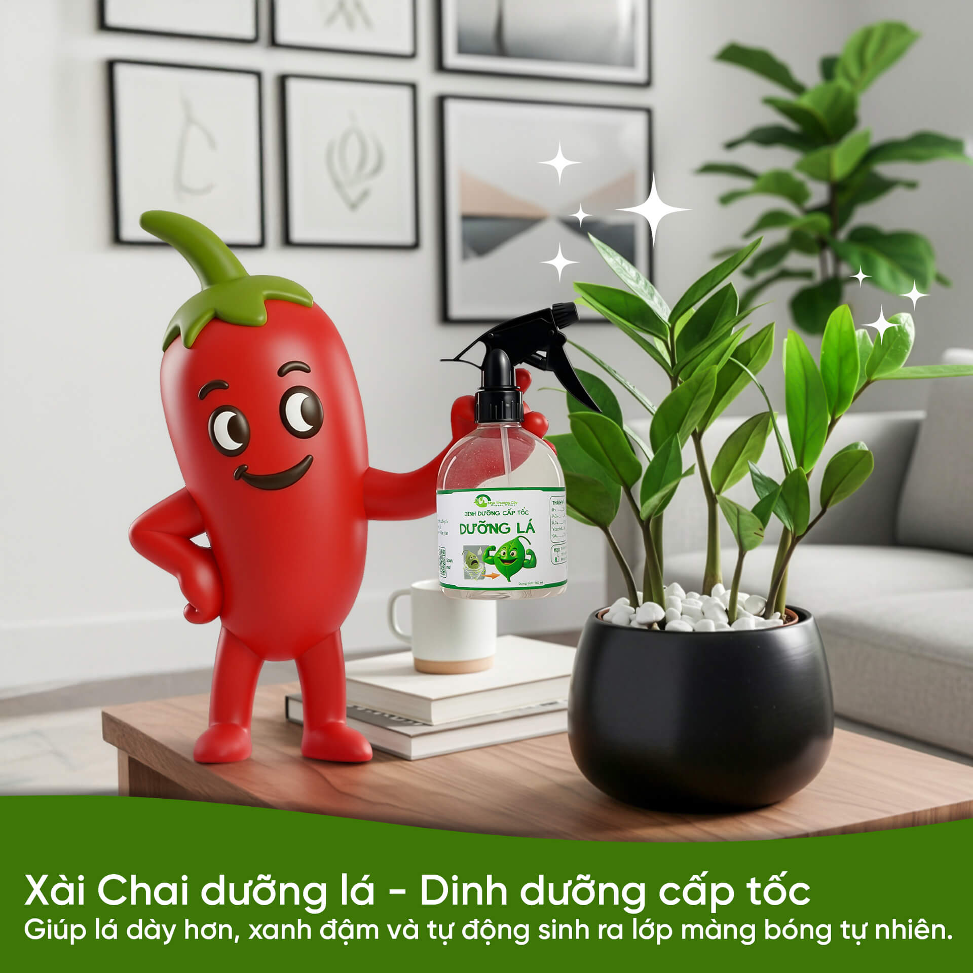 Bí kíp lau lá Kim Tiền bóng lưỡng rước tài lộc dùng chai dưỡng lá