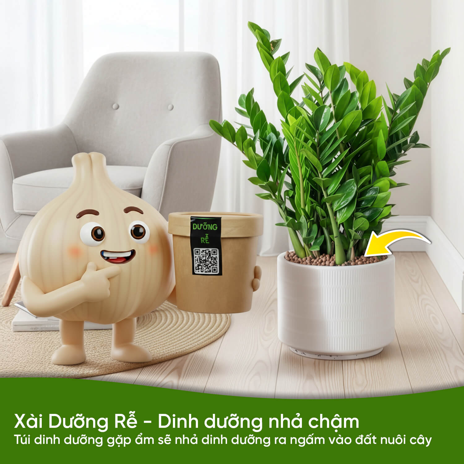 dùng hộp dưỡng rễ Bí kíp lau lá Kim Tiền bóng lưỡng rước tài lộc