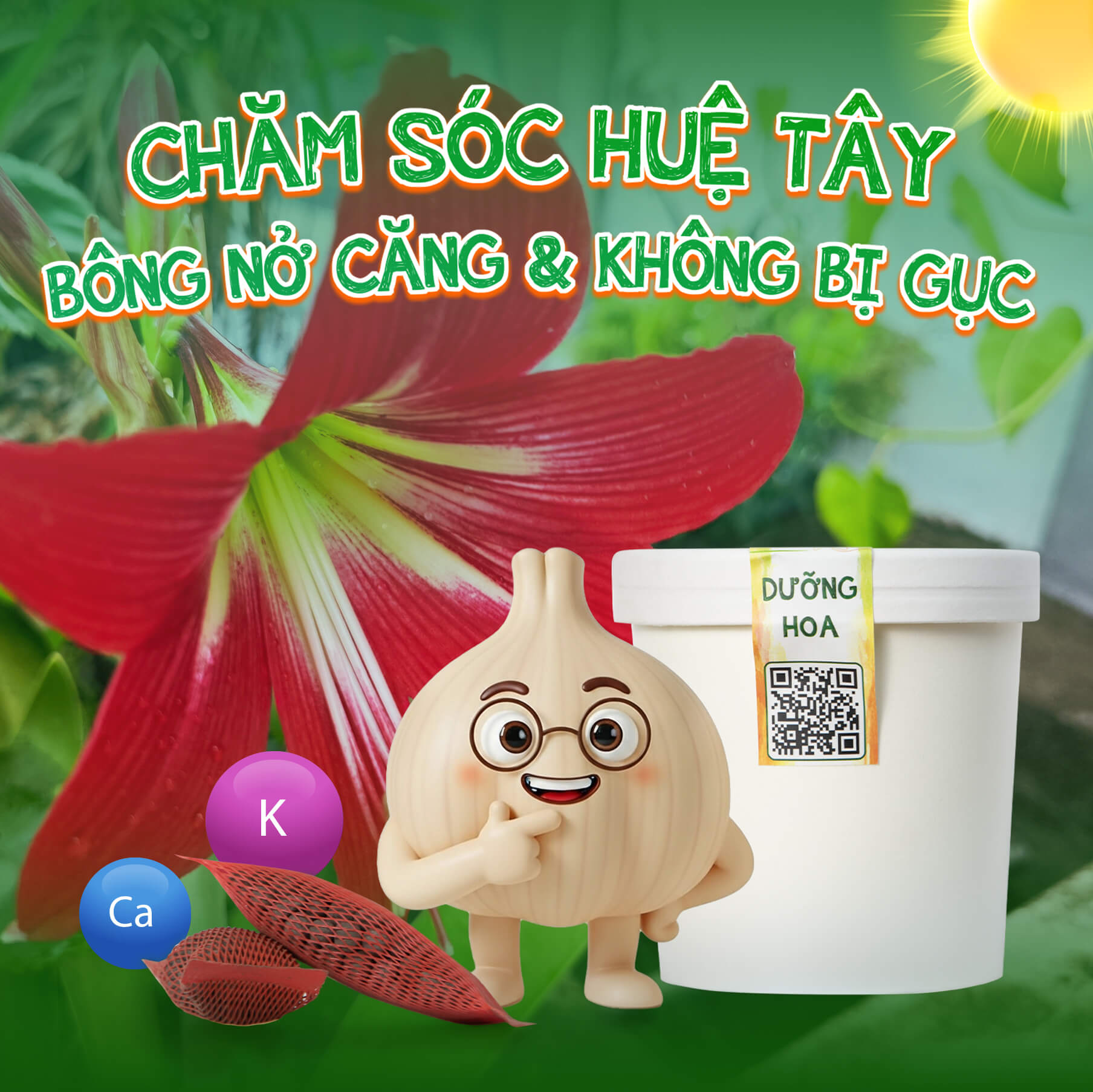 Cách cứu cây huệ Tây cho bông nở căng và không bị gục