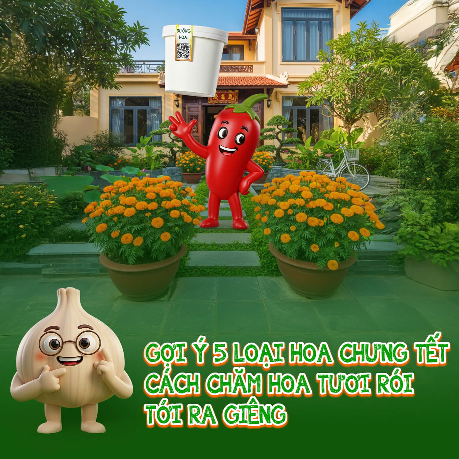 5 loại hoa chưng tết và ý nghĩa